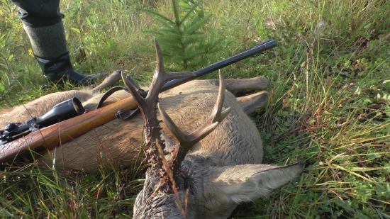 detailná fotografia