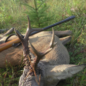 detailná fotografia