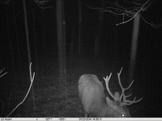 prvá skúška fotopasce