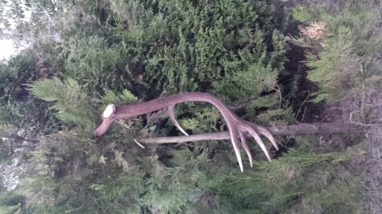 HĽADÁ SA PÁR , AK BY NIEKTO VEDEL , DAJTE VEDIEŤ