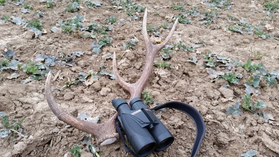 konečne sa zadarilo :)