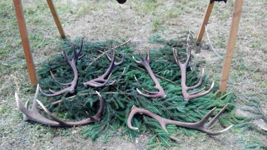 Moje a kamarátove z dní obce