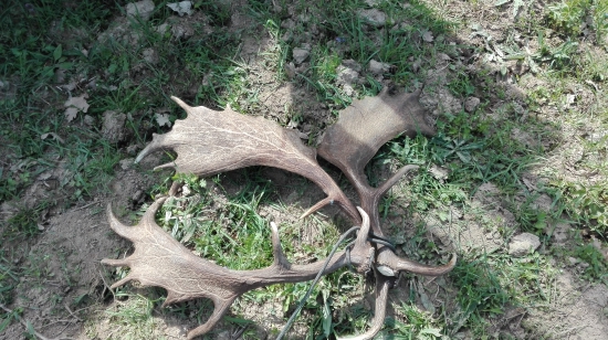 U kamaráta 76,77,78/2016