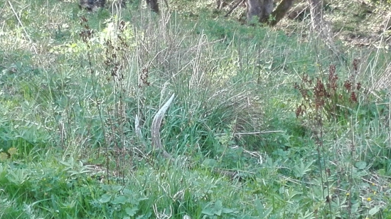 Čakal na mňa....rok.