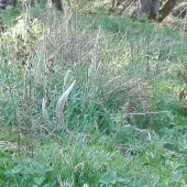 Čakal na mňa....rok.