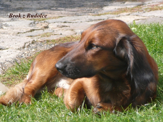 můj nejvěrnější, milující přítel!!