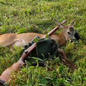 vytoužený a vydřený paličkář