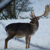 test nové zrcadlovky! :-)