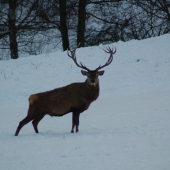 test nové zrcadlovky 2