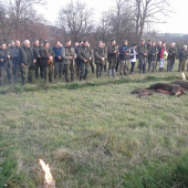 Hosťovská poľovačka