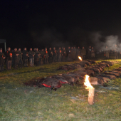 Poplatková poľovačka