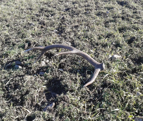 Aj keď menší ale potešil :)