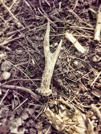 Dneska len tento ale potešil :)