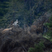 Odštartovaná sezóna 2017