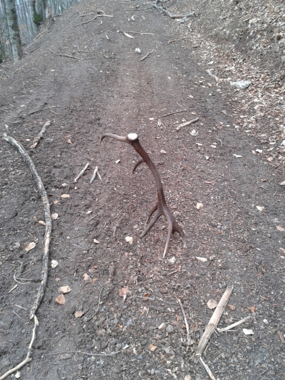 konečne som mal štastie