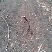 konečne som mal štastie