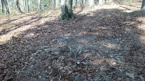 kamarát mal šťastie