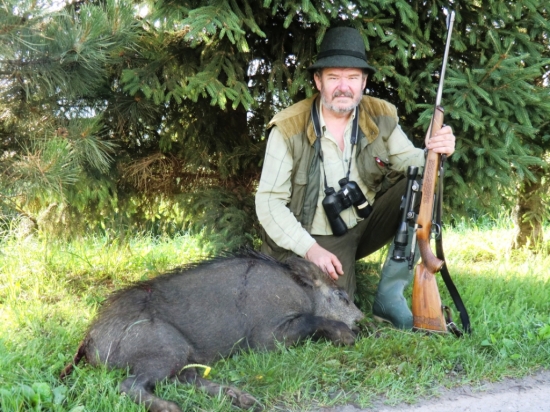 Lanštiak z Bačovho vrchu