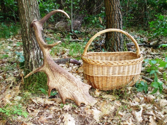 Bol som na hubách a ...