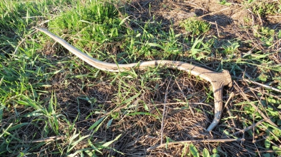 Aj na mňa sa usmialo šťastie