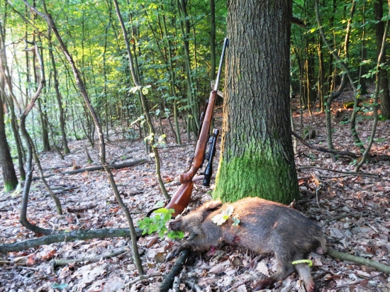 Z ministerského posedu