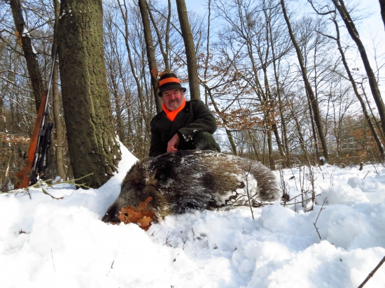 Lanštiak zo Sečianok