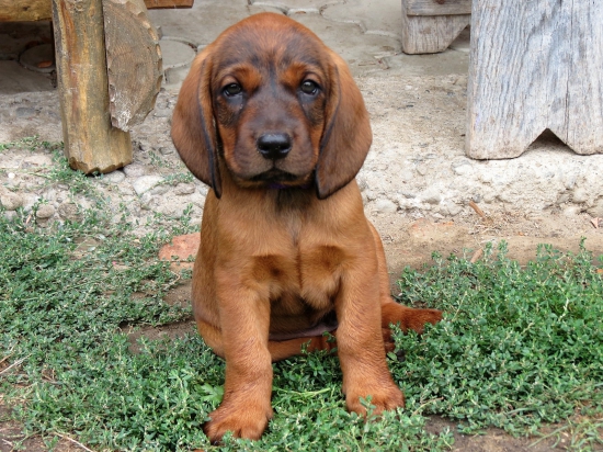 Môj najnovší miláčik