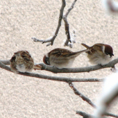 My sa fotiť nechceme !