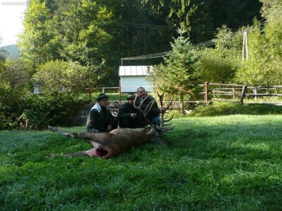 Jelen z POLANY 213.1 bodu 10.3 kg 11 rokov