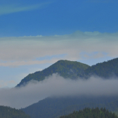 Dnešný krásny,slnečný  výhľad z okna..