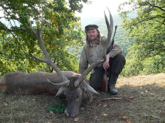 jelen z letošní říje