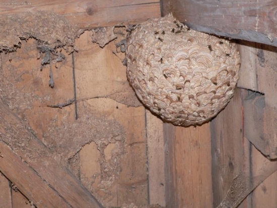 Nemilé překvapení na lovecké chatě