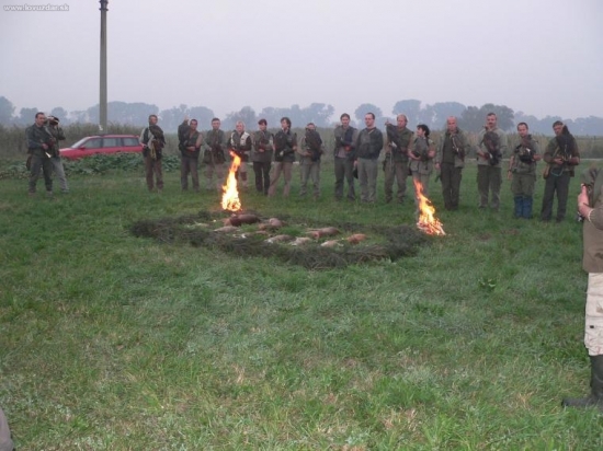 Výřad