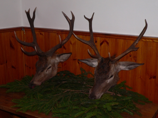 říje 2010