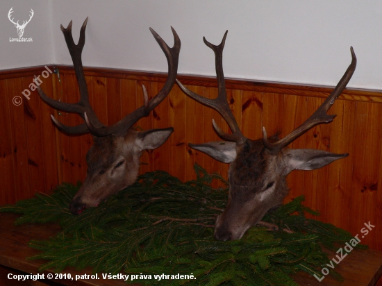 říje 2010