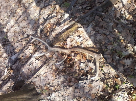 dnes ale minulorocny