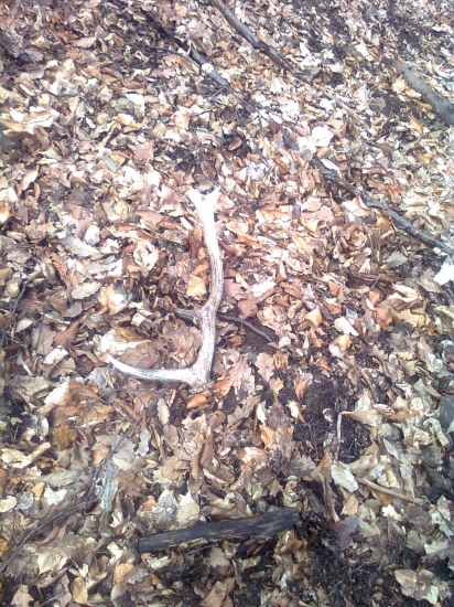 vcerajsi ale neskoro