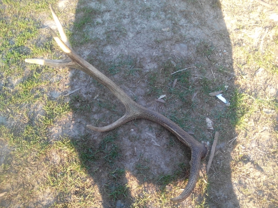 Včerajší ale minuloročný