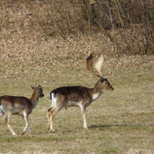 jeden z tých krajších