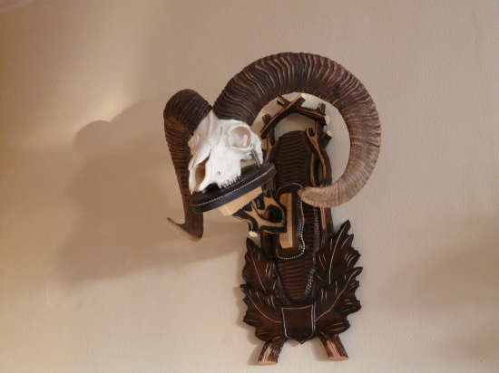 uhyn od kamaráta konecne doma