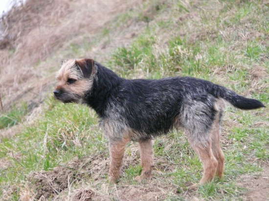 Ezop Laudov dvor 10 mesiacov