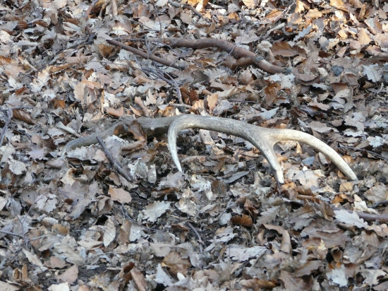 Konečne prvý v tejto sezone