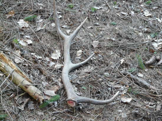 Už len také slabšie.Osmorák 1,10