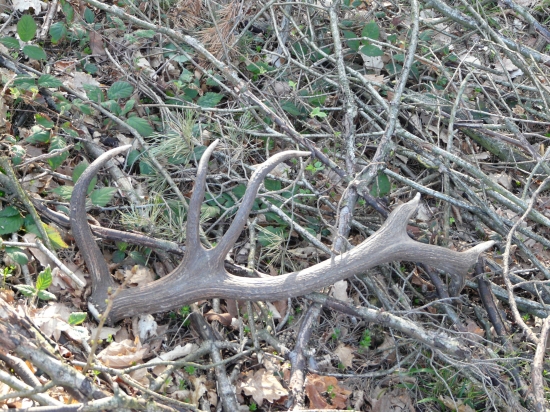 Vo štvrtok desiaty v poradí asi 30m od auta.