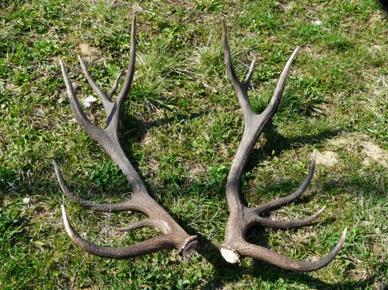 Pára k id 233416 spolu 5kg