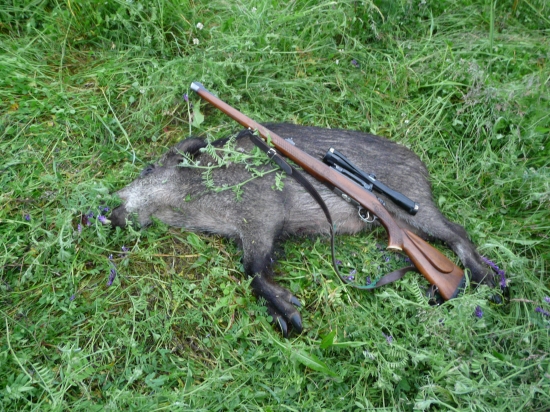 Konečne prvý v tejto sezone