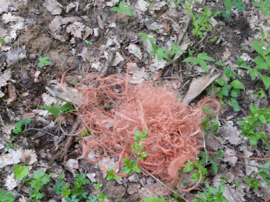 Niečo podobné ako na id 241311