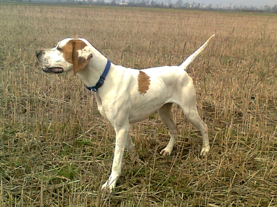 Trenujeme na jarné traily