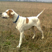 Trenujeme na jarné traily