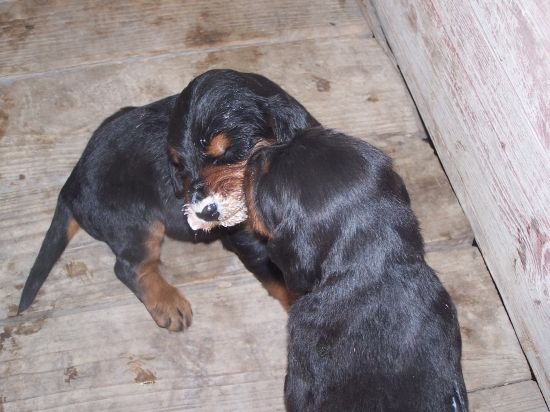 Umy ma a potom ja teba!